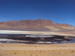 Salar en los Andes, carretera para San Pedro.  Lac salé dans les Andes, route pour San Pedro 
